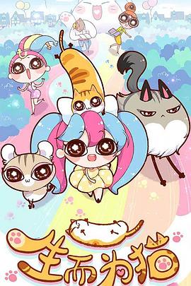 上街区网站自然优化